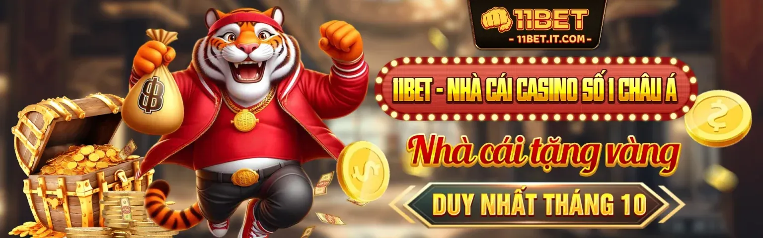 Hình ảnh chính của Blog GK8